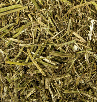 kachelnavi pferdefutter raufutter